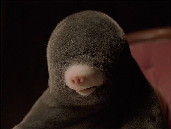 Still from Dolle by Diego Marcon: a mole puppet with grey fur and a pink nose, seated in front of a red velvet armchair